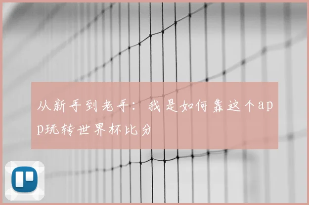 从新手到老手：我是如何靠这个app玩转世界杯比分