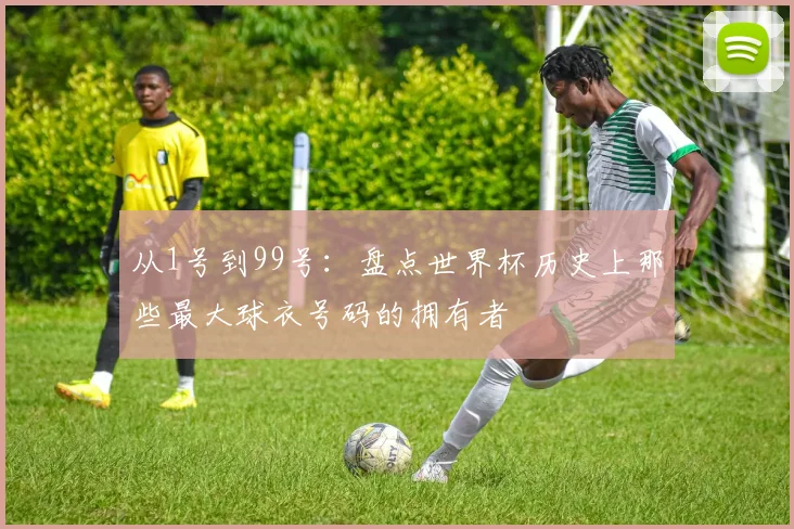 从1号到99号：盘点世界杯历史上那些最大球衣号码的拥有者