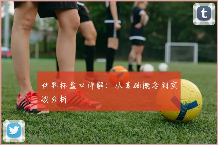 世界杯盘口详解:从基础概念到实战分析