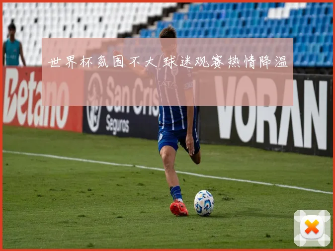 世界杯氛围不大 球迷观赛热情降温