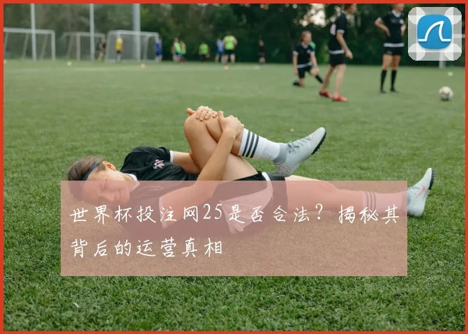 世界杯投注网25是否合法？揭秘其背后的运营真相