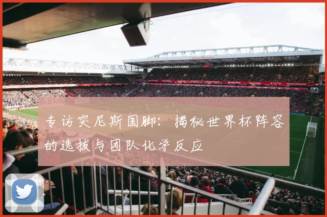 专访突尼斯国脚：揭秘世界杯阵容的选拔与团队化学反应