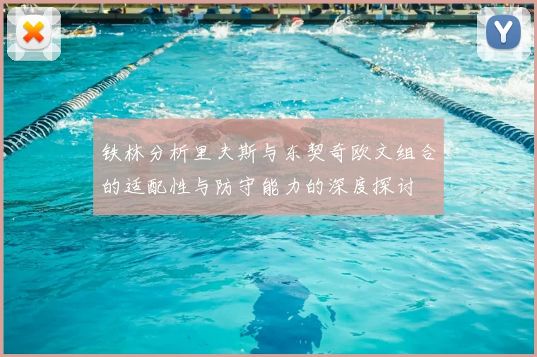 铁林分析里夫斯与东契奇欧文组合的适配性与防守能力的深度探讨