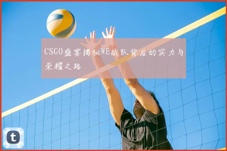 CSGO盛宴揭秘WE战队背后的实力与荣耀之路