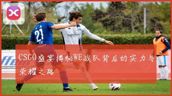 CSGO盛宴揭秘WE战队背后的实力与荣耀之路