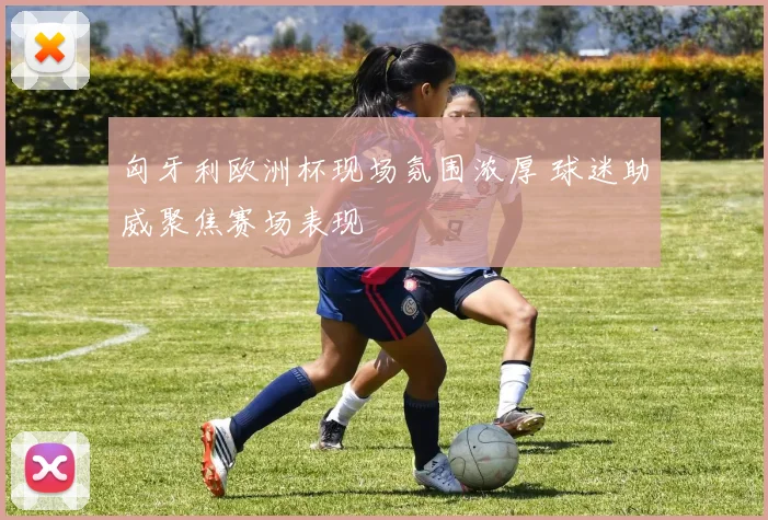 匈牙利欧洲杯现场氛围浓厚 球迷助威聚焦赛场表现