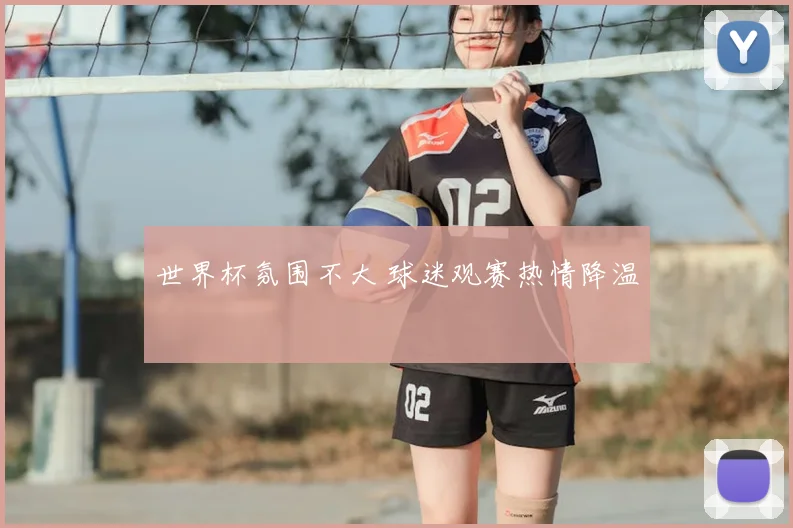 世界杯氛围不大 球迷观赛热情降温