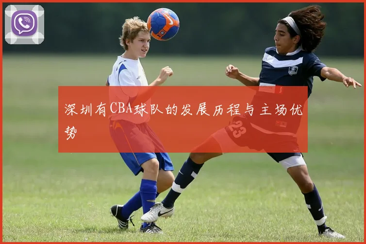 深圳有CBA球队的发展历程与主场优势