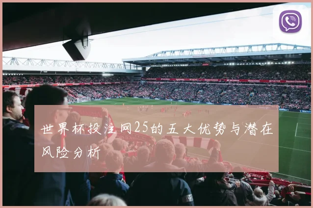 世界杯投注网25的五大优势与潜在风险分析