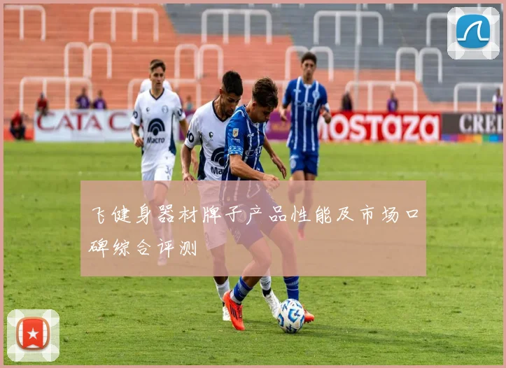 飞健身器材牌子产品性能及市场口碑综合评测