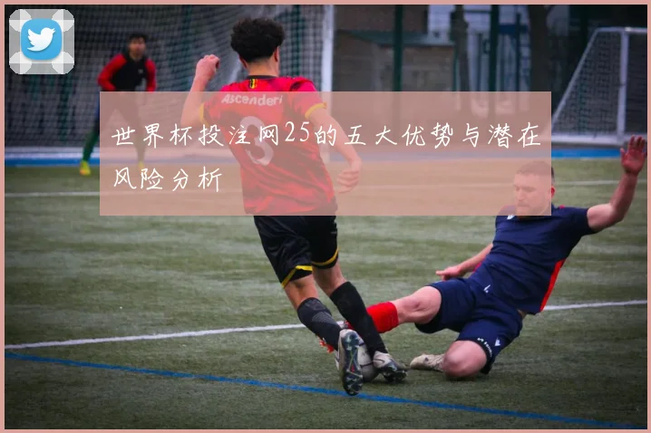 世界杯投注网25的五大优势与潜在风险分析