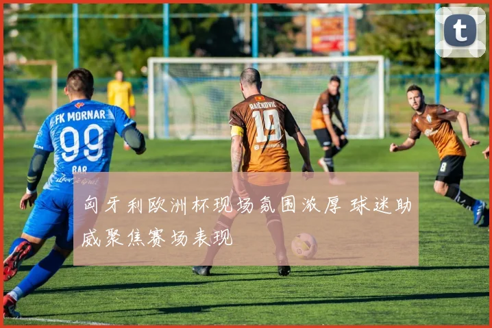 匈牙利欧洲杯现场氛围浓厚 球迷助威聚焦赛场表现