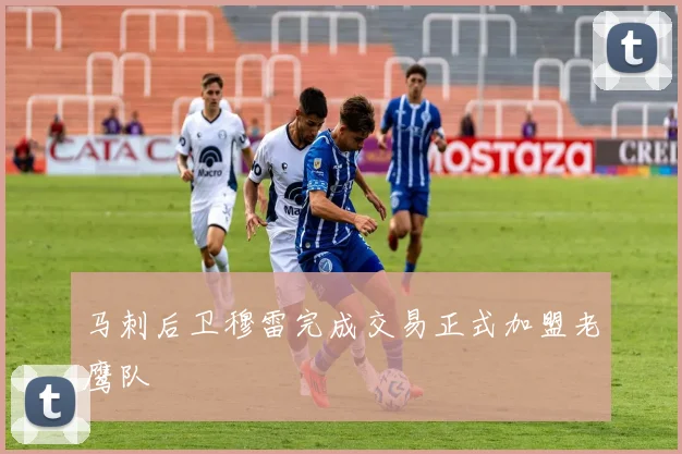 马刺后卫穆雷完成交易正式加盟老鹰队